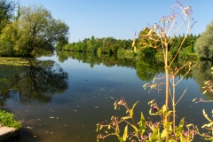 20240829-Ulm-Bike-Reise-009